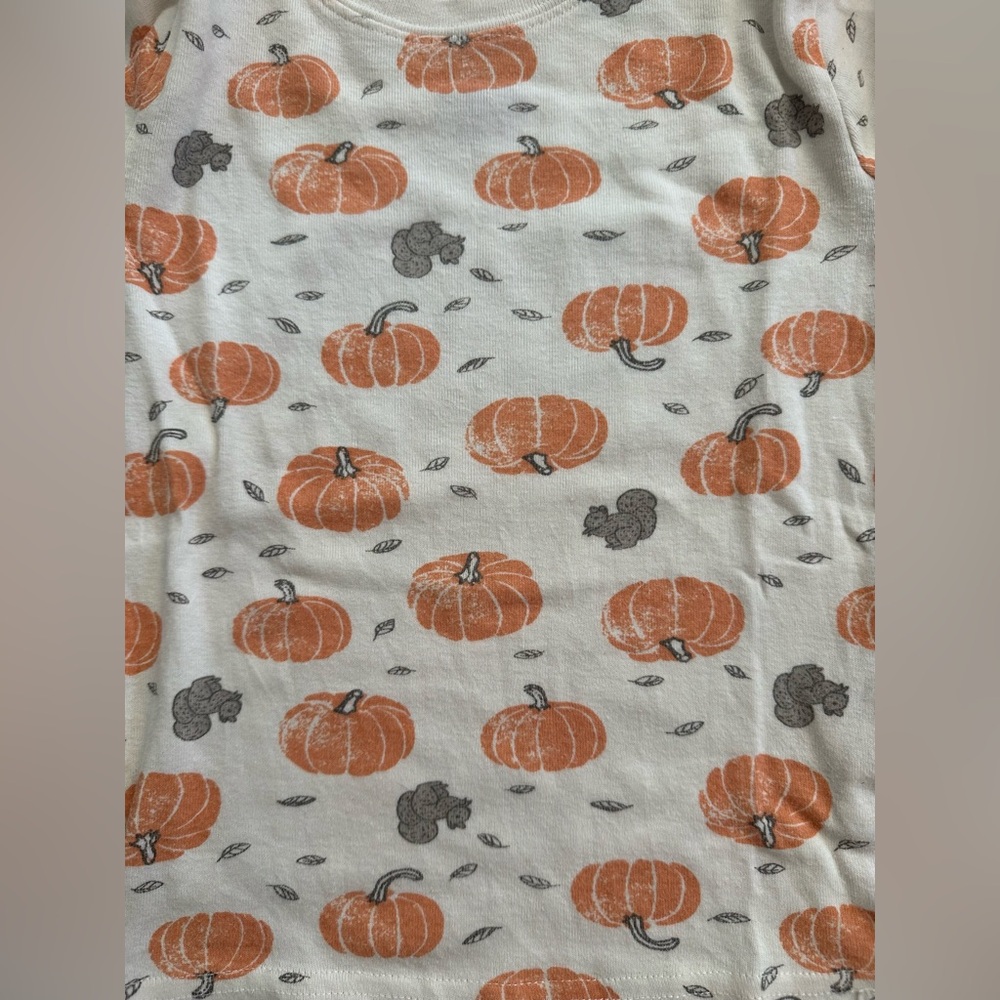 🐿️ Kids Fall Thanksgiving Pajamas Organic Cotton